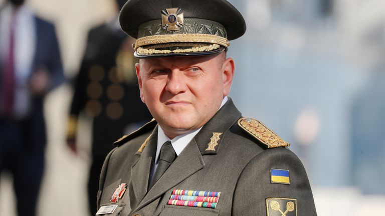 Valerii Zaluzhnyi Biography: Age, Family, Career and London Role